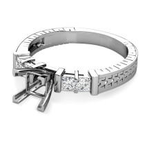 0.60CT Princess Cut Diamonds Engagement Ring