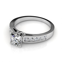 1.00CT Princess and Round and Diamonds Engagement Ring