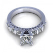 0.95CT princess and round cut diamonds engagement ring , picture number 1