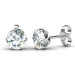 0.25CT Total Weight Diamond Stud Earrings with Platinum